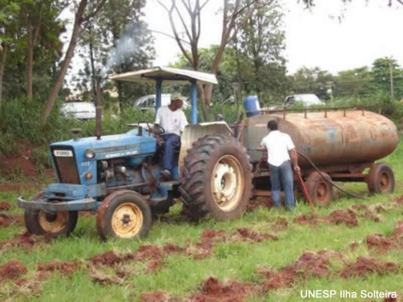 plantio_arvores_20set09 (21).jpg